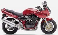 GSF1200 For Sale